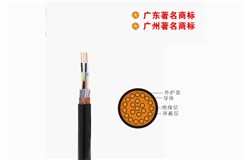 DJYVP -300/500V控制电缆 DJYVP -300/500V控制电缆