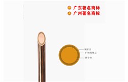 BTTZ-750V矿物质电缆 BTTZ-750V矿物质电缆