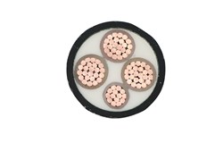 ZC-YJY-3*25+1*16 ZC-YJV(4-240mm)芯园林用阻燃电线电缆 ZC-YJY-3*25+1*16 ZC-YJV(4-240mm)芯园林用阻燃电线电缆