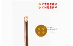 BTTZ-750V矿物质电缆 BTTZ-750V矿物质电缆